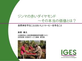 ジンマの赤いダイヤモンド　～その本当の価値とは？　自然林を守ることとおいしいコーヒーを作ること