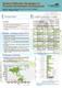 Biofuel Utilization Strategies to Promote Sustainable Development