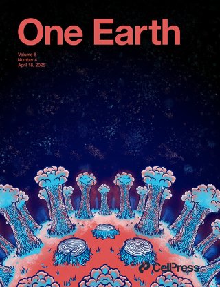 Ten new insights in climate science 2024