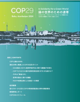 A-PLAT COP29