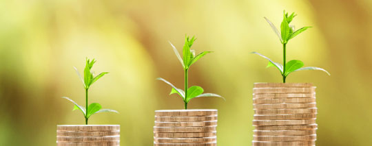 Green Economy